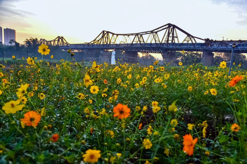 Cận cảnh khu đất ven con sông 'long mạch' của Thủ đô sắp biến thành tổ hợp du lịch nông nghiệp- Ảnh 2.