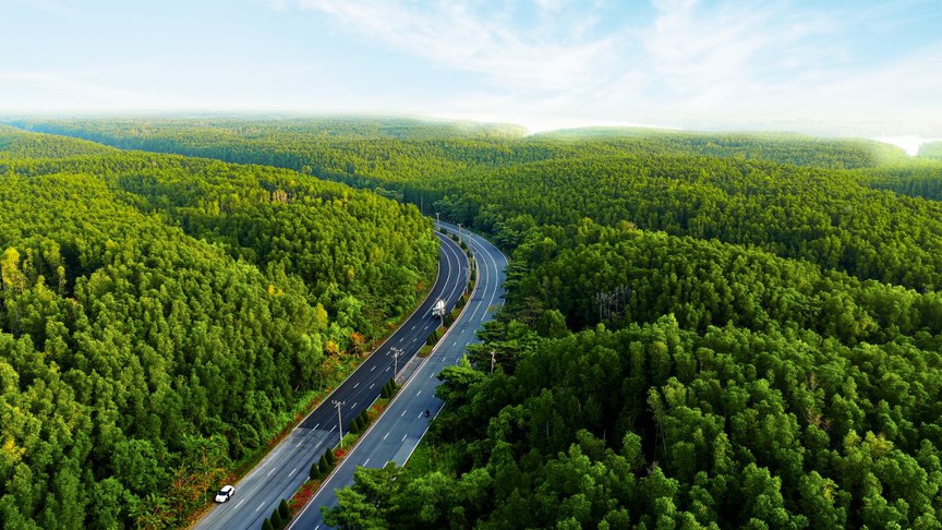 Vinhomes Green Paradise: Nơi ngôi nhà “mở ra thế giới”, nơi thế giới khát khao tìm về- Ảnh 1.