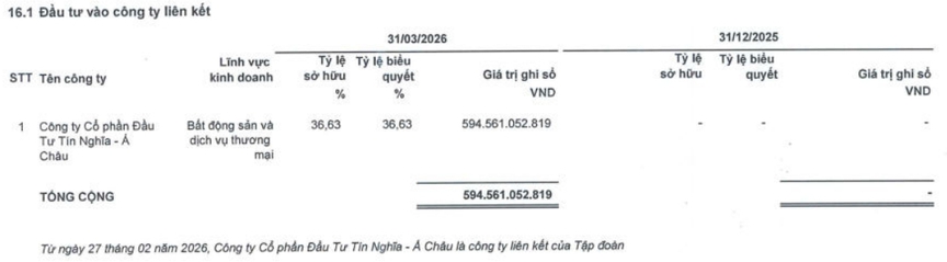 TTC Land (SCR) lãi đột biến gần 9 lần so với cùng kỳ, mạnh tay rót vốn vào siêu dự án ven sông Đồng Nai- Ảnh 1.