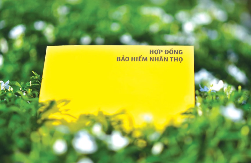 “Làn sóng” ngân hàng bán bảo hiểm quay trở lại: “Luật ngầm” vay tín dụng có tái diễn?- Ảnh 2. “Làn sóng” ngân hàng bán bảo hiểm quay trở lại: “Luật ngầm” vay tín dụng có tái diễn?- Ảnh 2.