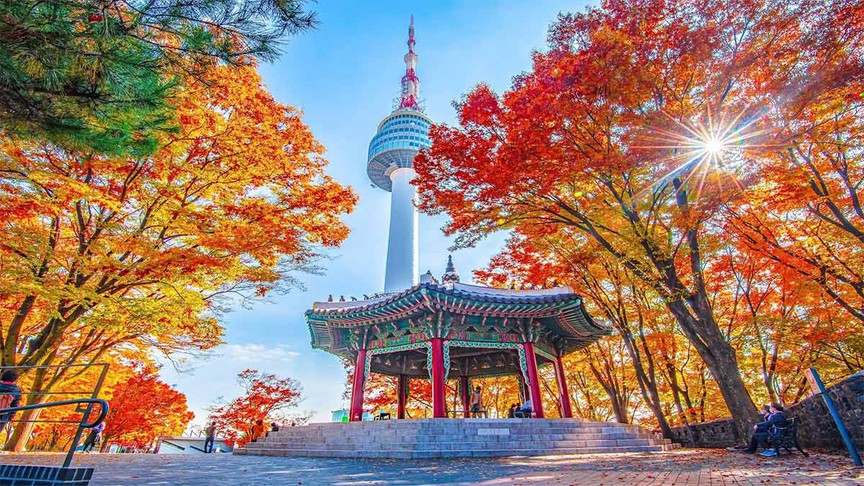 Việt Nam dự kiến sắp có thêm đường bay thẳng kết nối TP trẻ bậc nhất cả nước với 'xứ sở kim chi'- Ảnh 2. Việt Nam dự kiến sắp có thêm đường bay thẳng kết nối TP trẻ bậc nhất cả nước với 'xứ sở kim chi'- Ảnh 2.