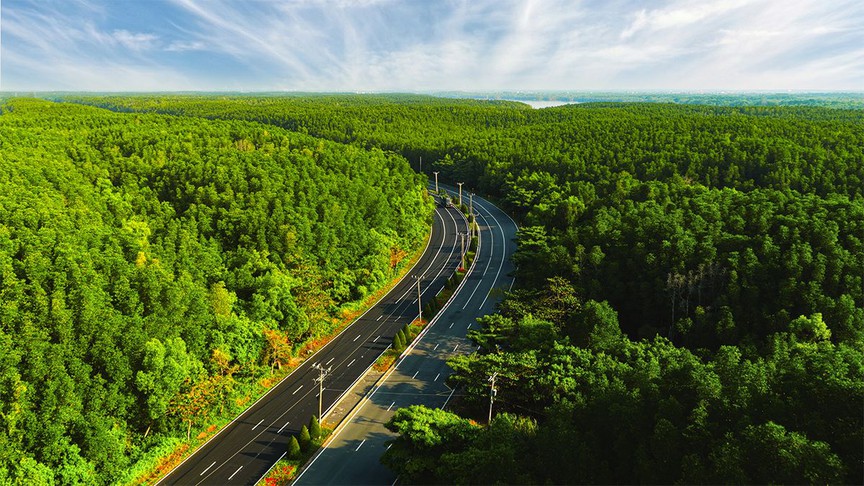 Đặc quyền tận hưởng miễn phí trọn đời liệu pháp “sống khỏe xa xỉ” tại Lagoonia Legacy - Ảnh 3.