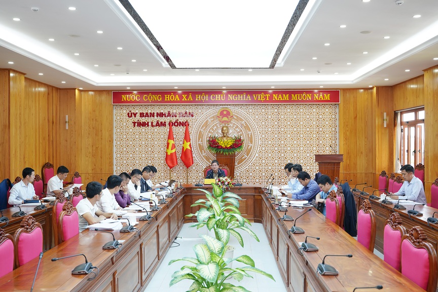 Đề xuất nâng cấp tuyến cao tốc xuyên rừng đẹp nhất Việt Nam do Tập đoàn Sơn Hải đầu tư- Ảnh 1.