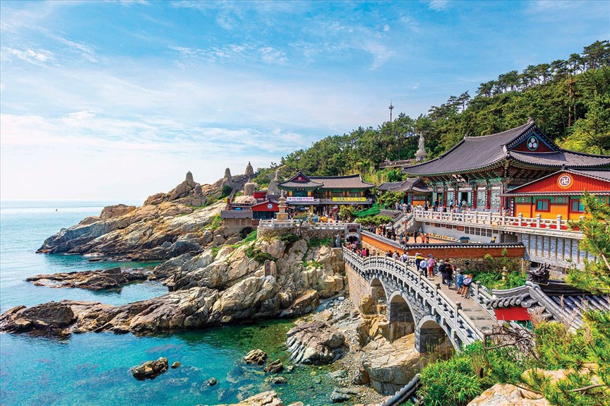 Tỉnh lớn thứ 2 cả nước muốn mở thêm đường bay đến một quốc gia châu Á - Ảnh 2.