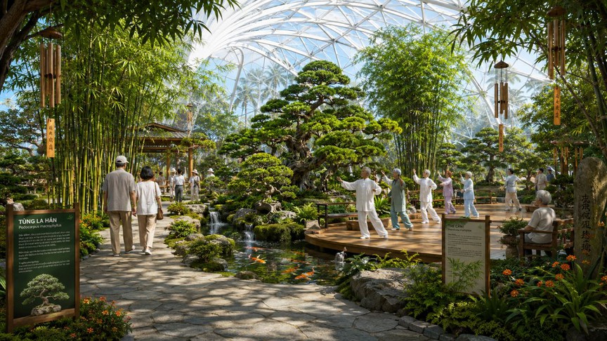 Lần đầu tiên xuất hiện lớp học sinh thái khổng lồ 1,5ha giữa Sài Gòn cho trẻ em và gia đình thỏa sức khám phá- Ảnh 4. Lần đầu tiên xuất hiện lớp học sinh thái khổng lồ 1,5ha giữa Sài Gòn cho trẻ em và gia đình thỏa sức khám phá- Ảnh 4.