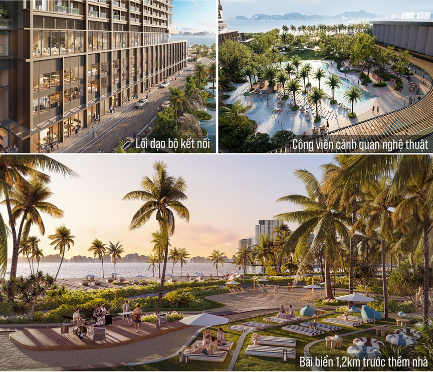 Aria Bay: Chất sống thời thượng mang dấu ấn Sailing Club bên vịnh di sản - Ảnh 1.