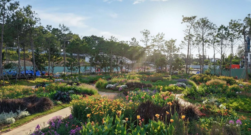 HAUS Da Lat giành 4 giải thưởng tại International Property Awards 2026 - Ảnh 4.