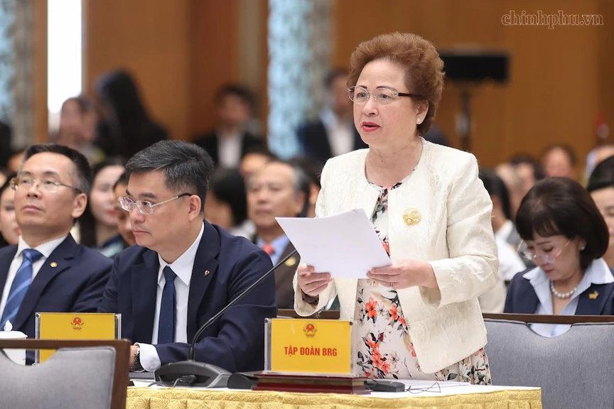 Chủ tịch Tập đoàn BRG đề xuất các giải pháp thúc đẩy chuyển đổi xanh và phát triển chuỗi cung ứng nội địa nhằm nâng cao sức chống chịu của nền kinh tế - Ảnh 1.