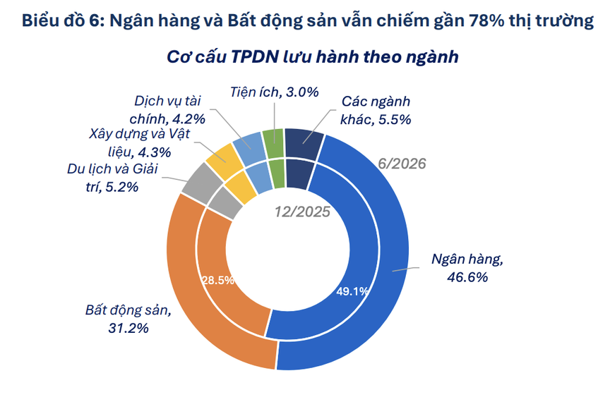 Thị trường TPDN nửa đầu năm: Chấp nhận chi phí vốn cao, nhóm bất động sản tăng phát hành - Ảnh 1.