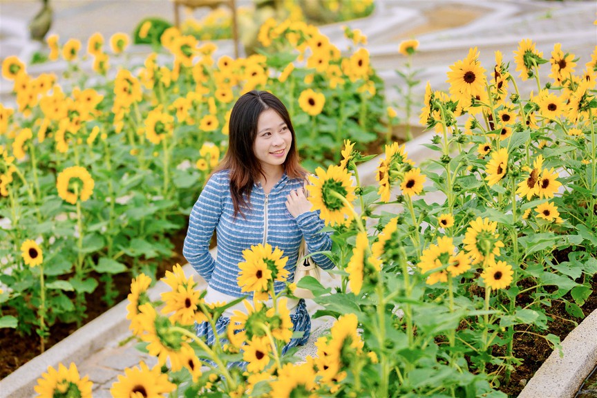 Từ 10/7, giới trẻ đến Ba Na Hills cần phải biết điều này - Ảnh 1.