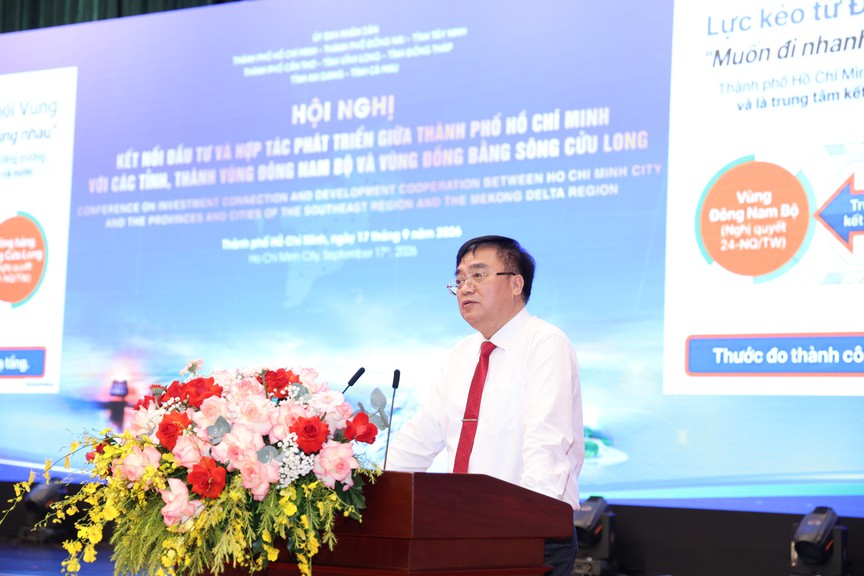TP.HCM: Đầu tàu kinh tế, trung tâm liên kết vùng Đông Nam Bộ và Đồng bằng sông Cửu Long - Ảnh 3.