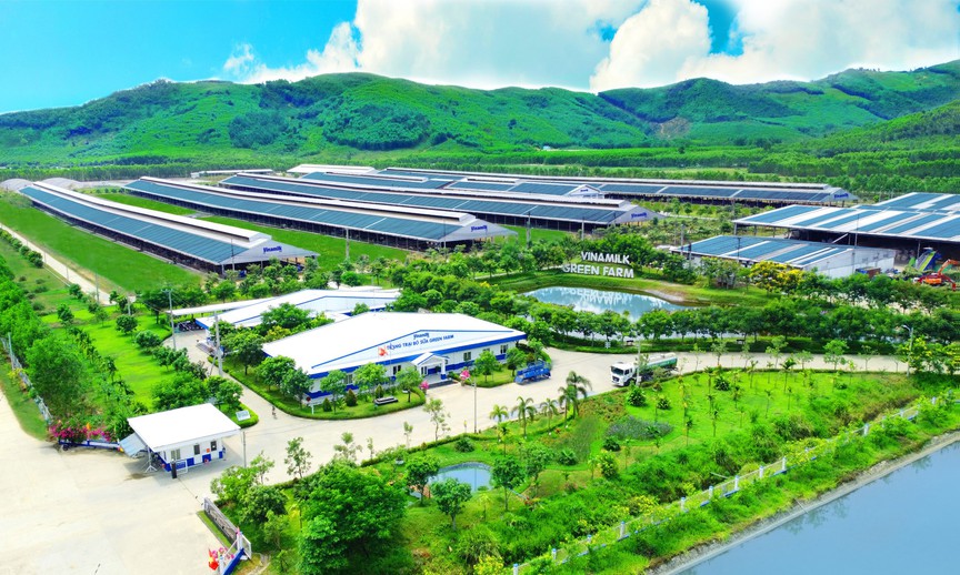 “Không ngừng nâng chuẩn, làm đến tận cùng” - một nguyên tắc xuyên suốt 50 năm của Vinamilk - Ảnh 3.