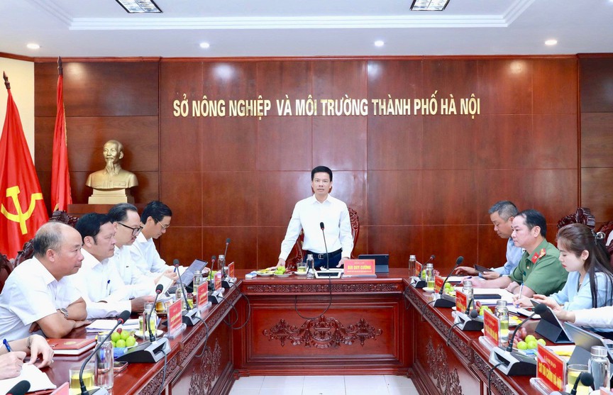 Hà Nội yêu cầu xử lý dứt điểm vướng mắc đất đai, kiên quyết thu hồi dự án không chuyển biến - Ảnh 2.