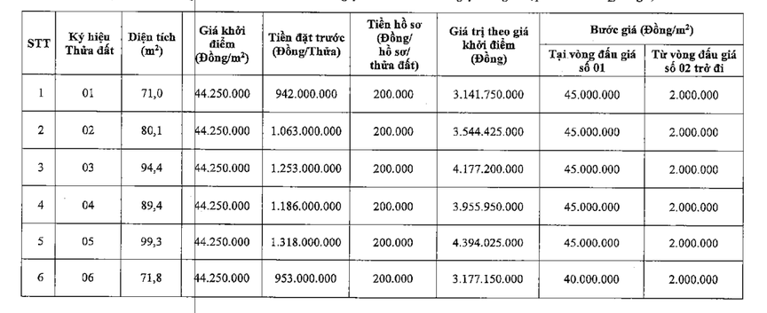 Đấu giá loạt thửa đất tại khu vực ngoại thành Hà Nội - Ảnh 2.