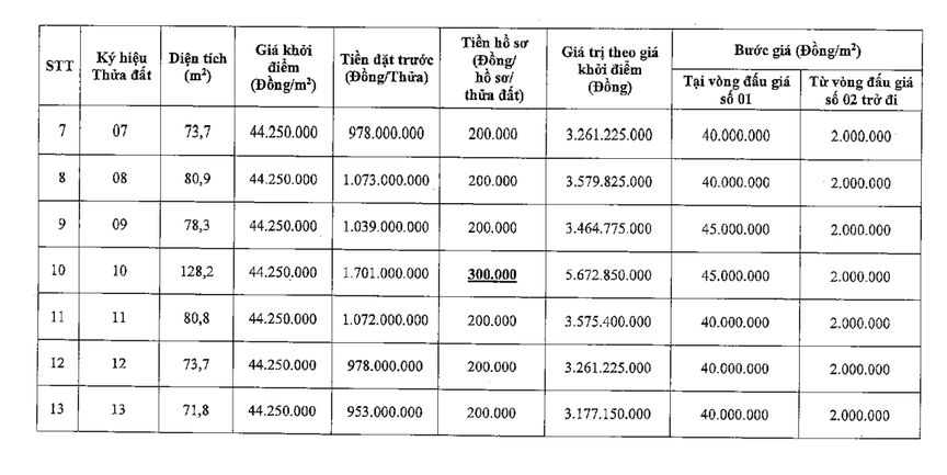 Đấu giá loạt thửa đất tại khu vực ngoại thành Hà Nội - Ảnh 3.