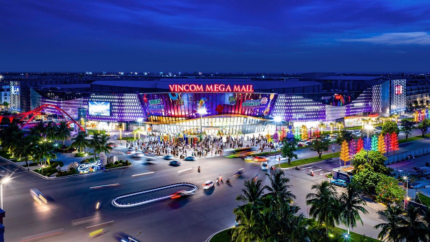Vingroup là doanh nghiệp nộp ngân sách lớn nhất Việt Nam - Ảnh 6.