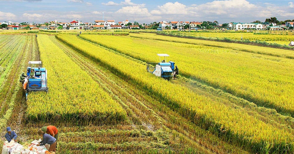 Thái Bình hướng tới trở thành trung tâm sản xuất nông nghiệp hàng đầu Vùng đồng bằng sông Hồng