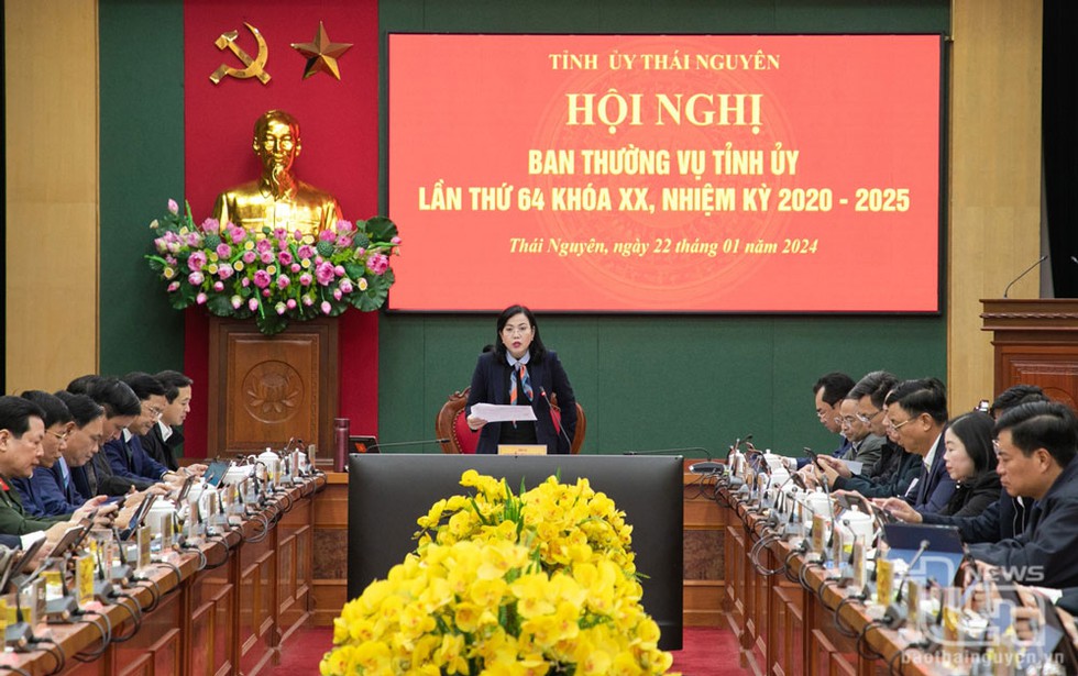 Thái Nguyên: Ban Thường vụ, Ban Chấp hành Đảng bộ tỉnh cho ý kiến vào nhiều nội dung quan trọng