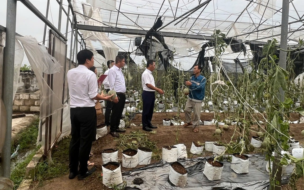 Agribank ưu đãi lãi vay đối với khách hàng bị thiệt hại do bão số 3 và lũ lụt sau bão