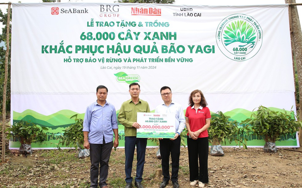 SeABank và Tập đoàn BRG chung tay trồng 68.000 cây phủ xanh gần 20ha rừng tại Lào Cai