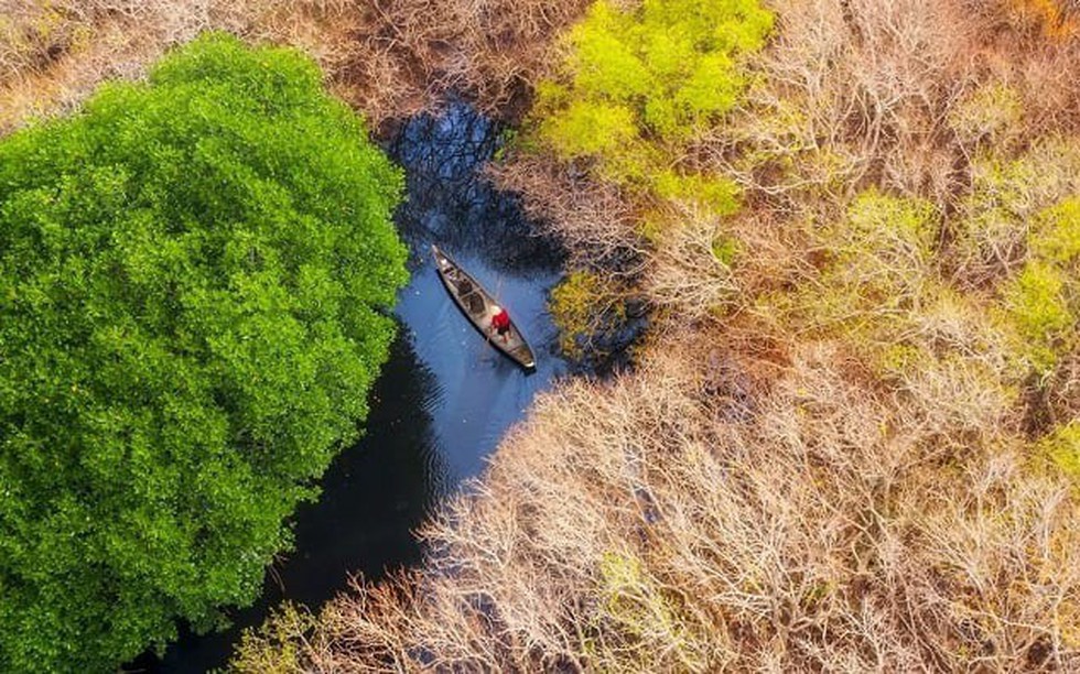 Thừa Thiên Huế: Công bố hiện trạng rừng