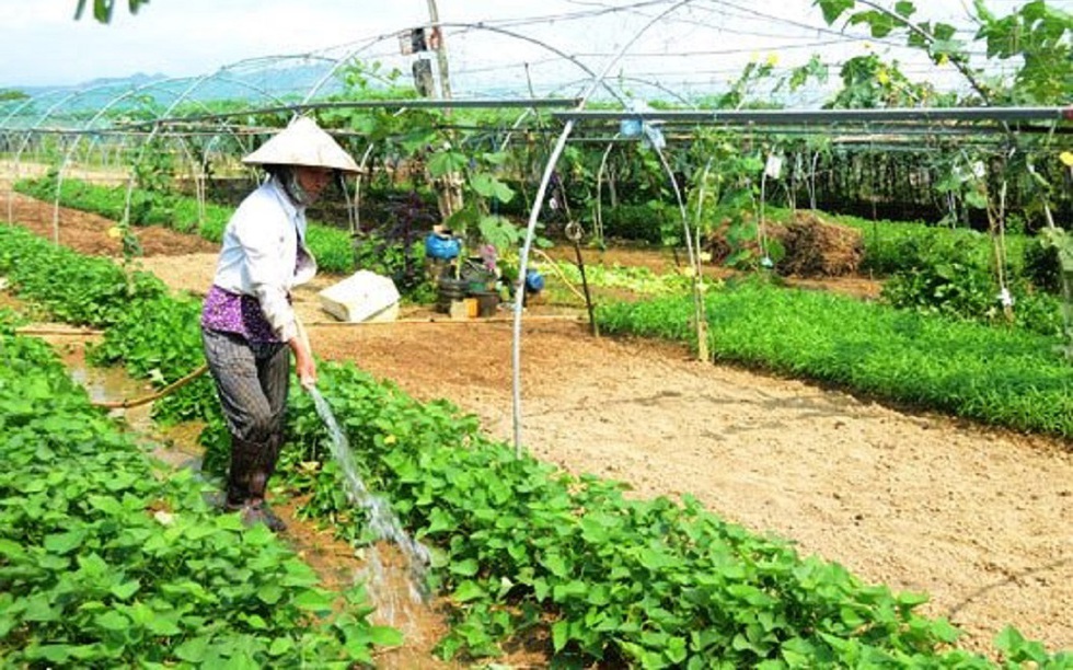 Đà Nẵng: Phát triển du lịch nông thôn gắn với xây dựng nông thôn mới