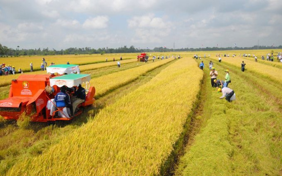 Từ bây giờ, giá đền bù đất trồng lúa khi bị thu hồi đất là bao nhiêu?