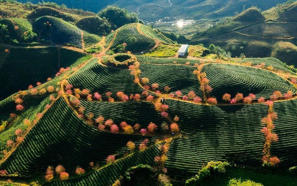 Liên danh Ecopark sẽ làm khu đô thị sinh thái gần 2.500 tỷ tại Lào Cai