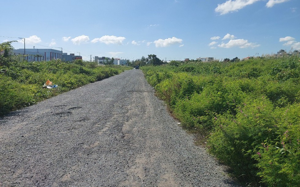 Cà Mau: Thu hồi đất do doanh nghiệp tự nguyện trả lại đất