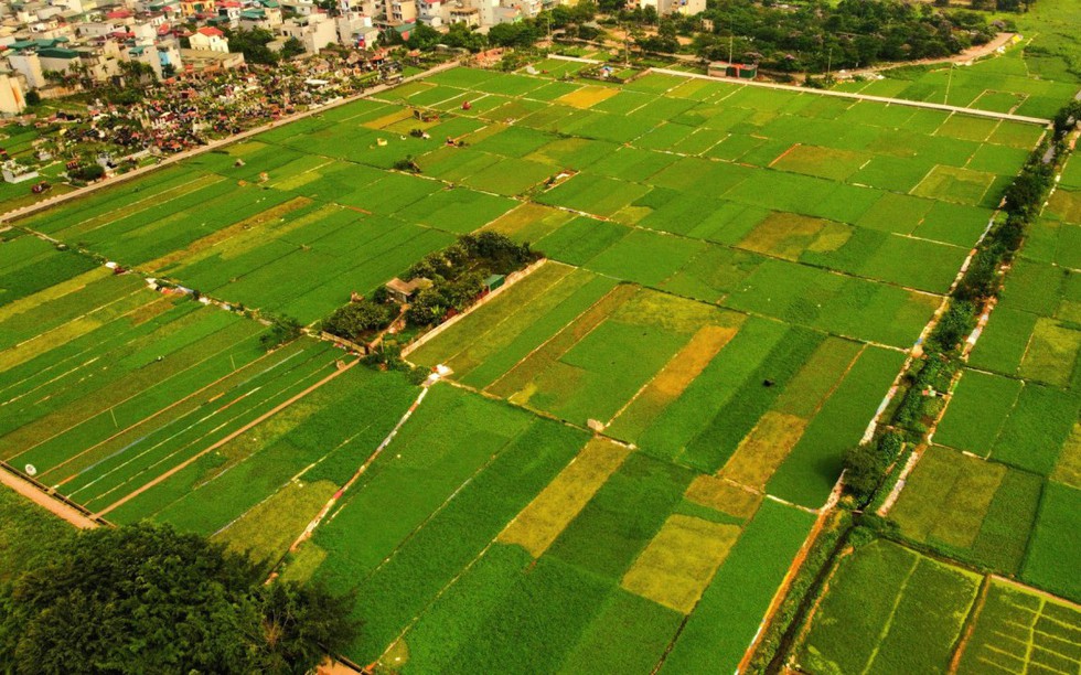 Gia hạn miễn thuế đất nông nghiệp đến hết năm 2030