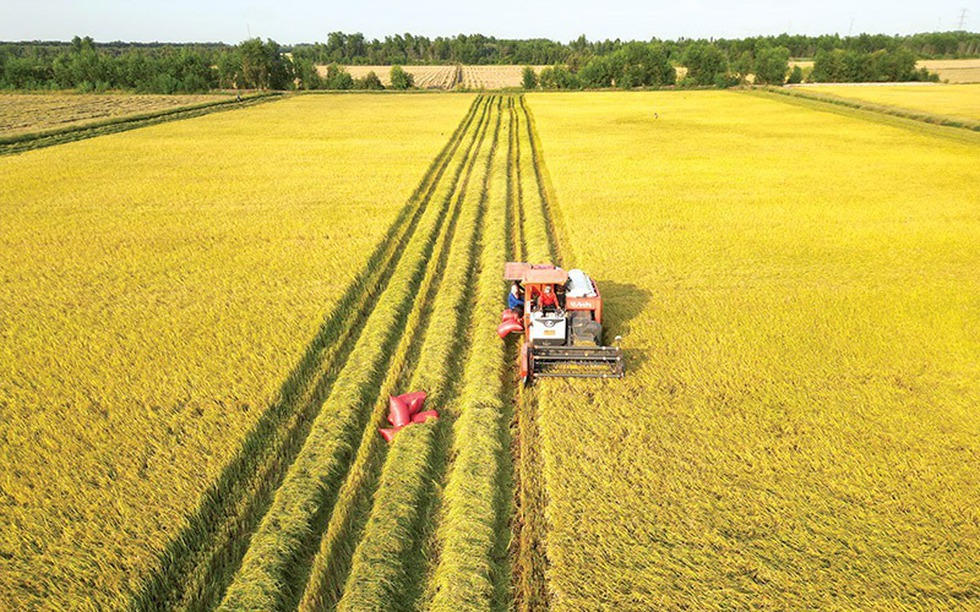 NÓNG: Tiếp tục miễn thuế sử dụng đất nông nghiệp đến hết năm 2030