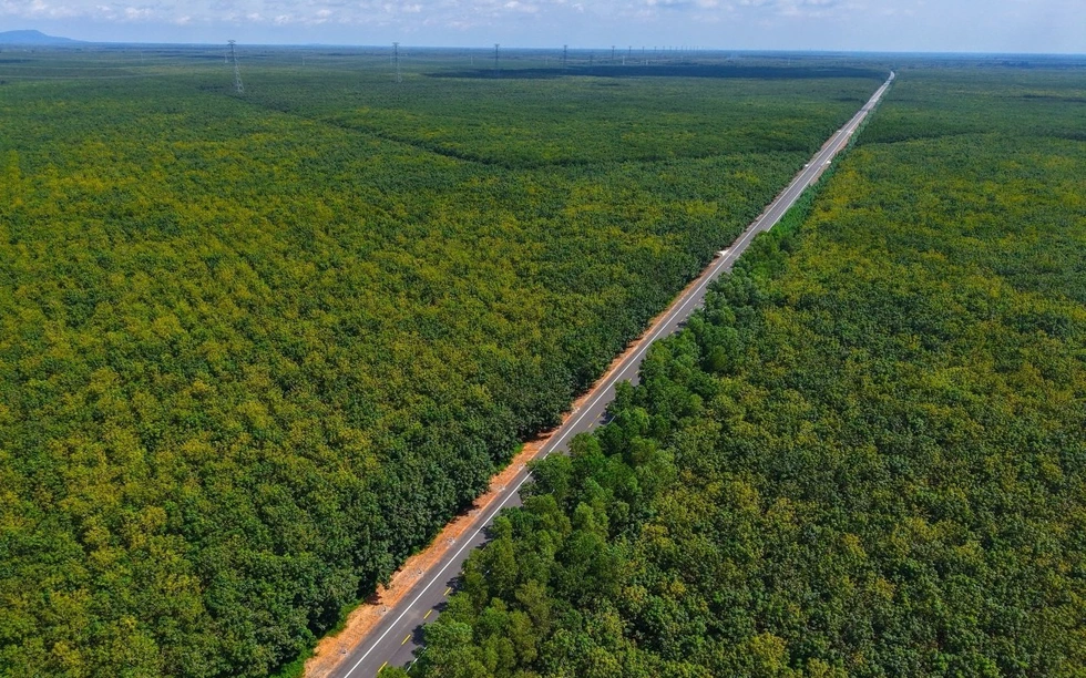 Vỡ tiến độ tuyến đường 2.300 tỷ đi xuyên rừng cao su ở miền Nam