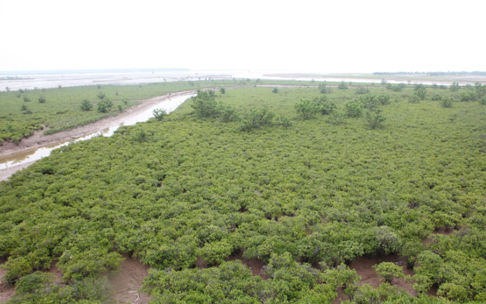 Ninh Bình chính thức có vườn di sản ASEAN đầu tiên khu vực miền Bắc