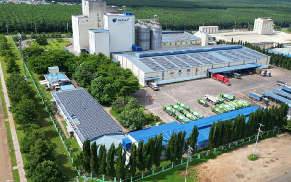 Tây Nguyên sắp có tổ hợp chăn nuôi tiêu chuẩn châu Âu lớn nhất khu vực của 'ông lớn' Hà Lan