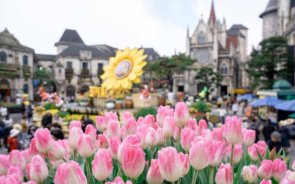 Sun World Ba Na Hills giảm giá vé cho người dân miền Trung, Tây Nguyên