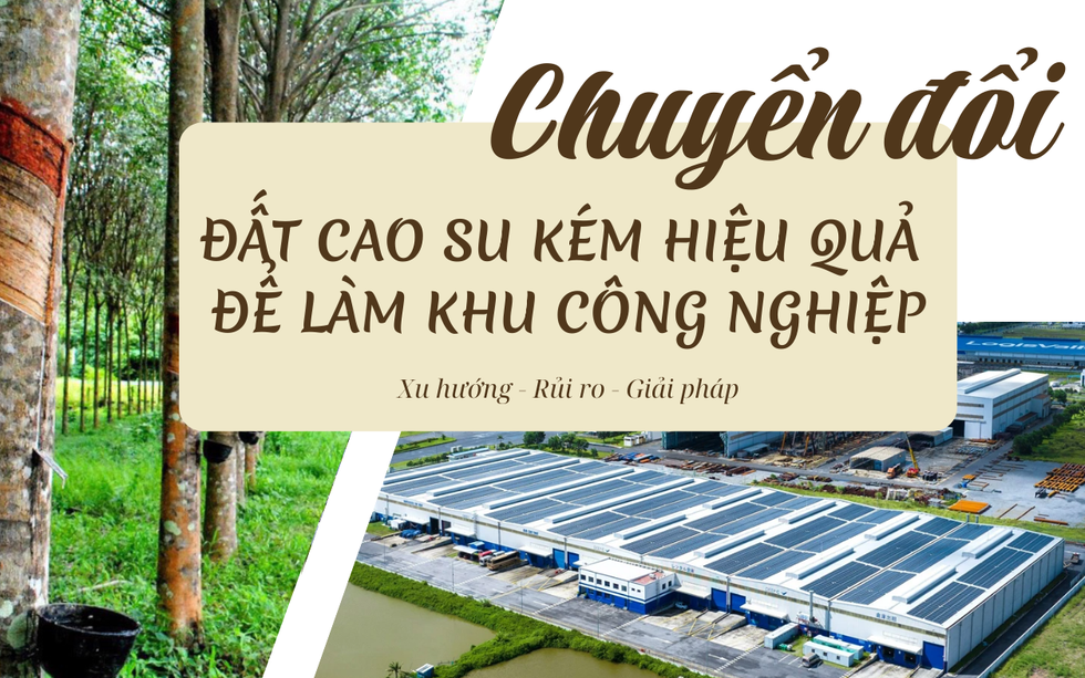 Chuyển đổi đất cao su kém hiệu quả để làm khu công nghiệp tại khu vực Đông Nam Bộ - Bài 1: Khi nguồn lực được "cởi trói"