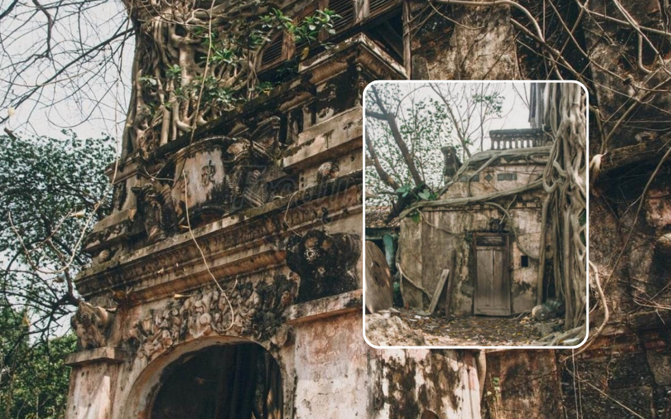 Biệt thự 'ma' giữa lòng cố đô: Tàn tích của một thời hoàng kim, nơi bồ đề trăm tuổi ôm trọn ký ức vương giả dưới triều Nguyễn