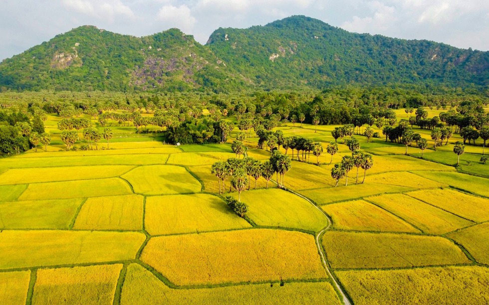 Kể từ nay, phải đáp ứng điều kiện này, người dân mới được chuyển mục đích sử dụng đất nông nghiệp