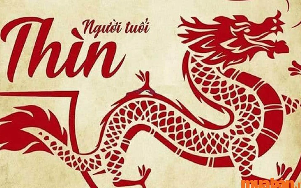 Sinh năm 2000 tuổi con gì? Tất tần tật thông tin phong thủy tuổi Canh Thìn
