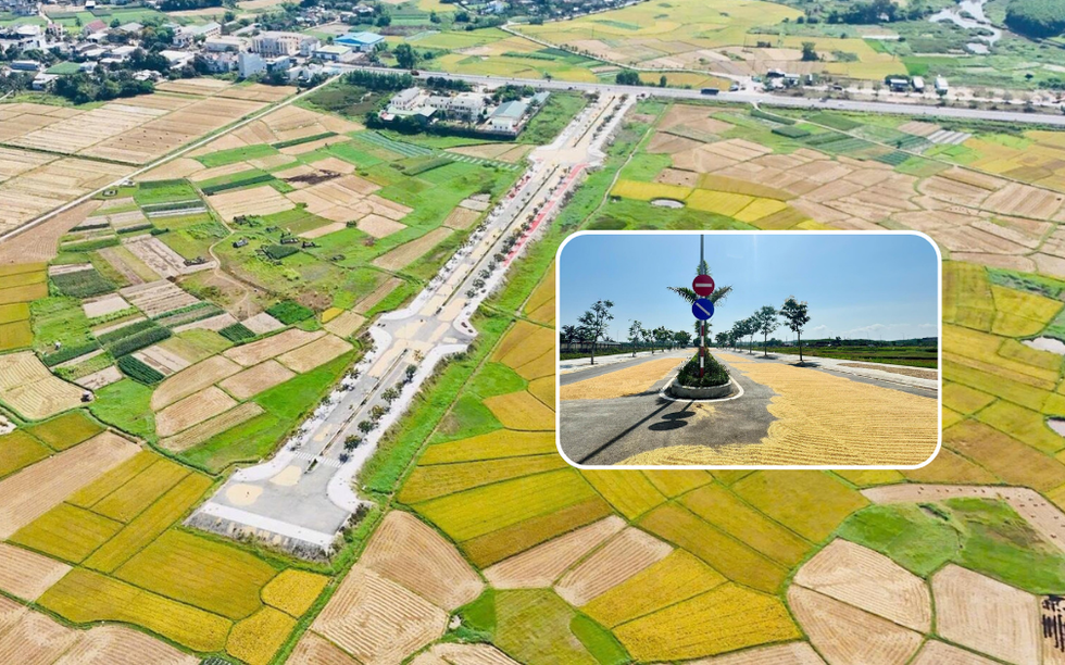 Trớ trêu tuyến đường hiện đại nằm phơi nắng, phơi mưa, phơi... lúa: Không có phương tiện giao thông nào qua lại