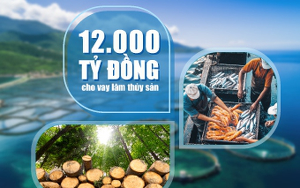 VietinBank nâng quy mô gói tín dụng, đẩy mạnh đầu tư lĩnh vực lâm, thủy sản