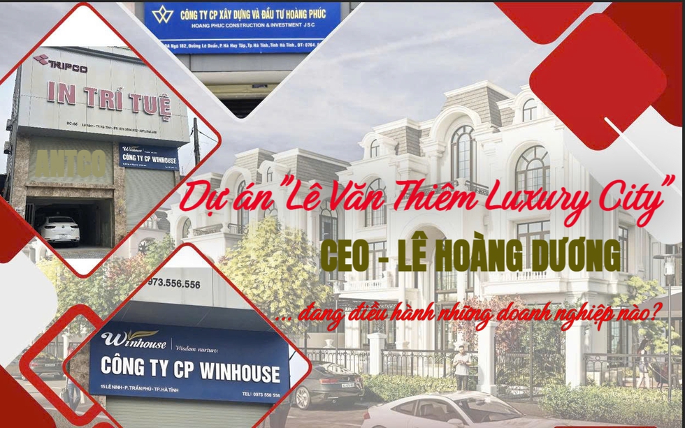 CEO dự án "Lê Văn Thiêm Luxury City" điều hành những doanh nghiệp nào?