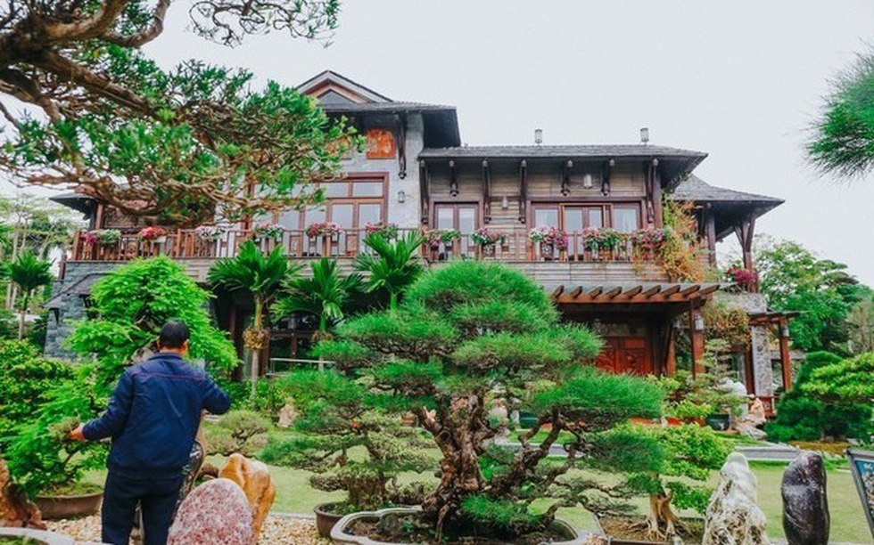 Lãnh đạo FPT sở hữu biệt thự rộng 3.000m2: Sân vườn là ‘rừng cổ thụ’ trăm tuổi cùng bộ sưu tập đá quý cực giá trị
