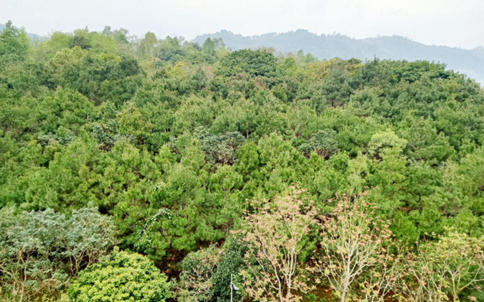 Vùng đất sở hữu ‘Thụy Sĩ của Việt Nam’ sắp hình thành 11 điểm phát triển du lịch sinh thái, nghỉ dưỡng, giải trí