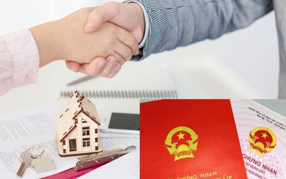 Cập nhật mẫu hợp đồng mua bán đất thông dụng nhất hiện nay