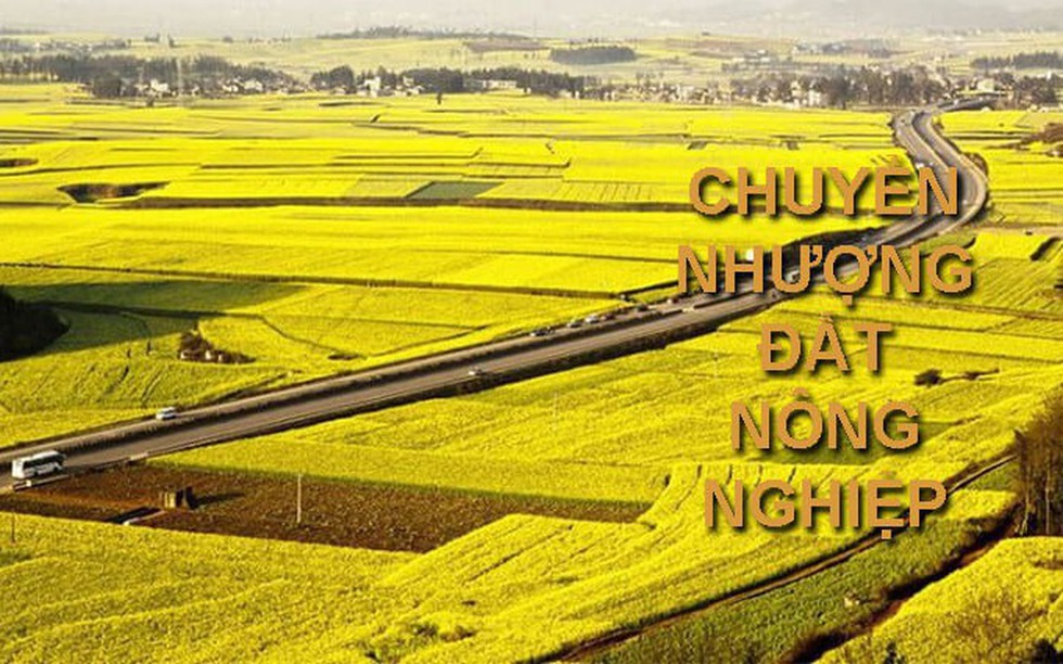 Theo Luật mới nhất, điều kiện chuyển nhượng đất nông nghiệp có sự thay đổi lớn