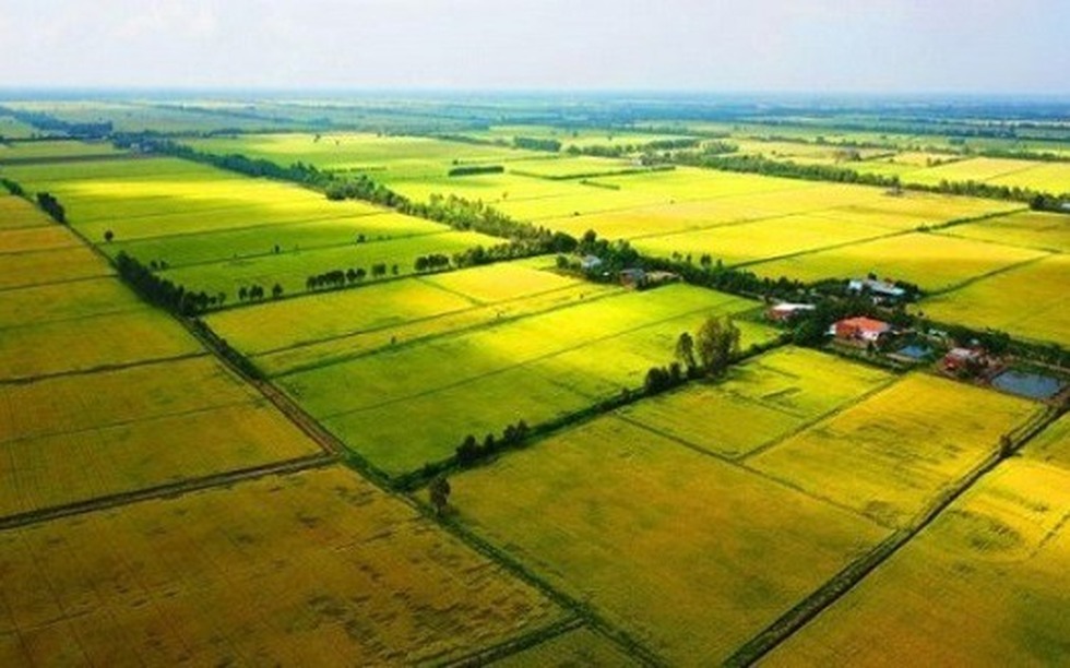 5 trường hợp chuyển mục đích sử dụng đất không cần xin phép theo luật mới nhất