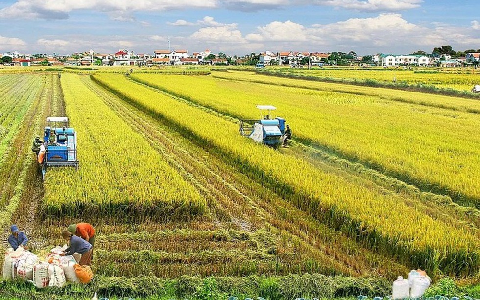 Từ 1/1/2026, nhiều đối tượng được miễn thuế sử dụng đất nông nghiệp thêm 5 năm