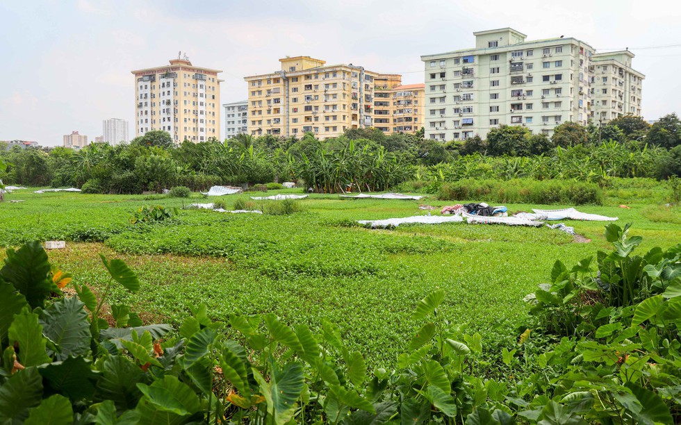 Hà Nội: Dự án Khu đô thị Trũng Kênh vẫn nằm "trên giấy" gần 2 thập kỷ