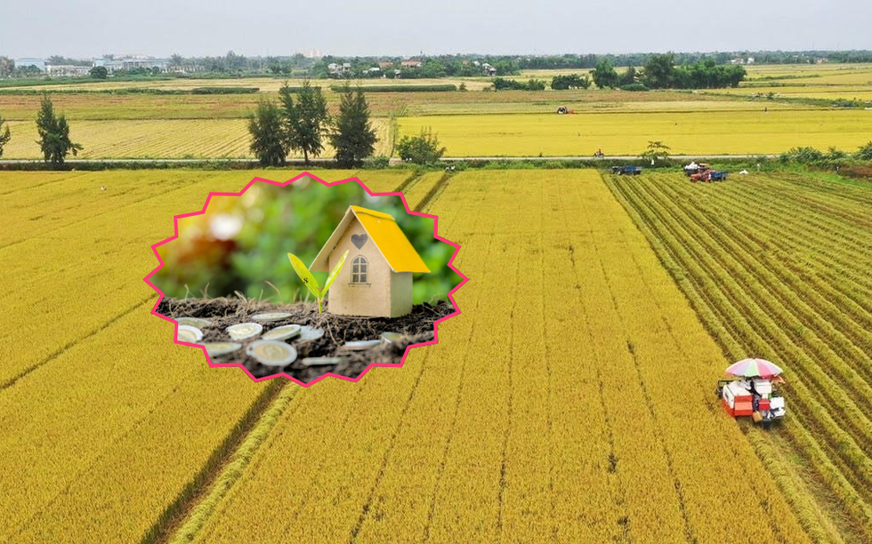 Chi tiết cách chuyển đổi đất nông nghiệp sang đất thổ cư mới nhất 2025